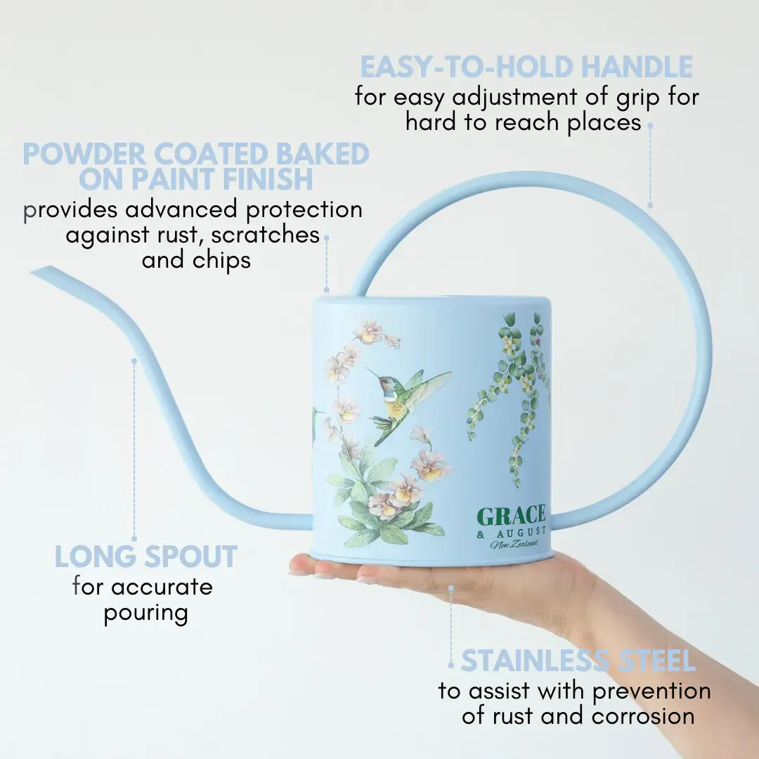 Metal Indoor Watering Can | Green or Blue Garden Accessories