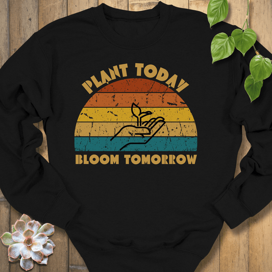 Black / S Plant Today Sweatshirt Sweatshirt