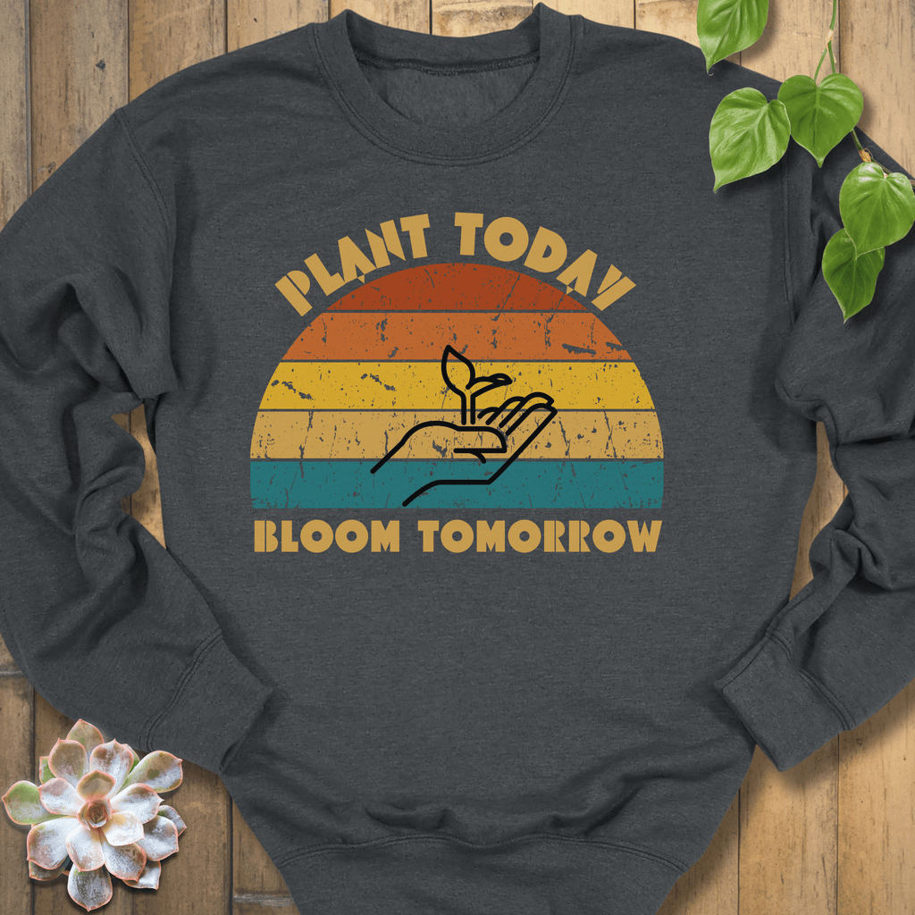 Dark Heather / S Plant Today Sweatshirt Sweatshirt