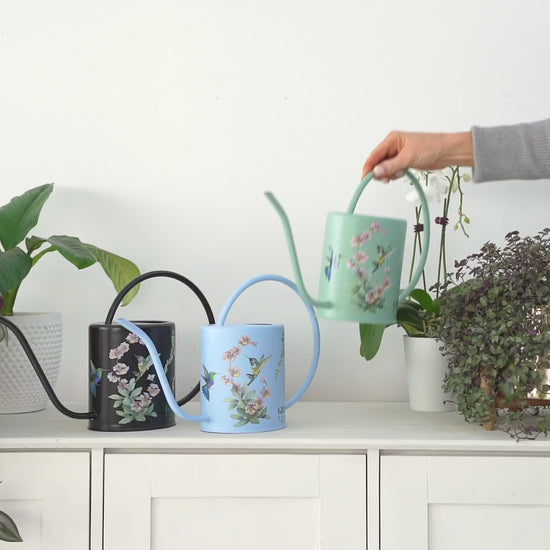 vintage watering can