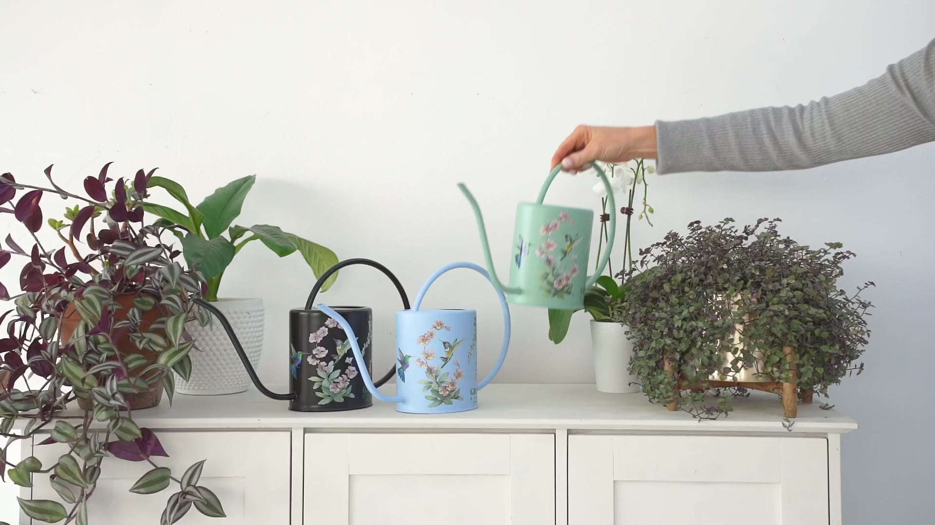 vintage watering can