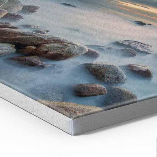 Red Tulips Flowers Pop Art Canvas Print Framed Wall Art