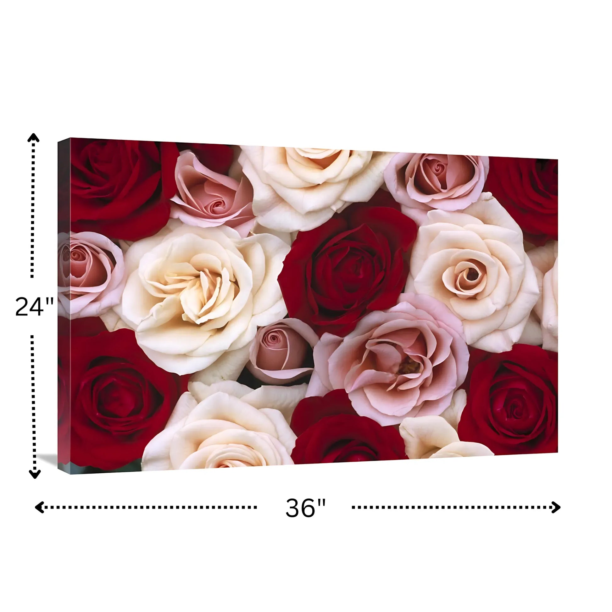 Rose Flowers Wall Art - 24x36 Home Decor