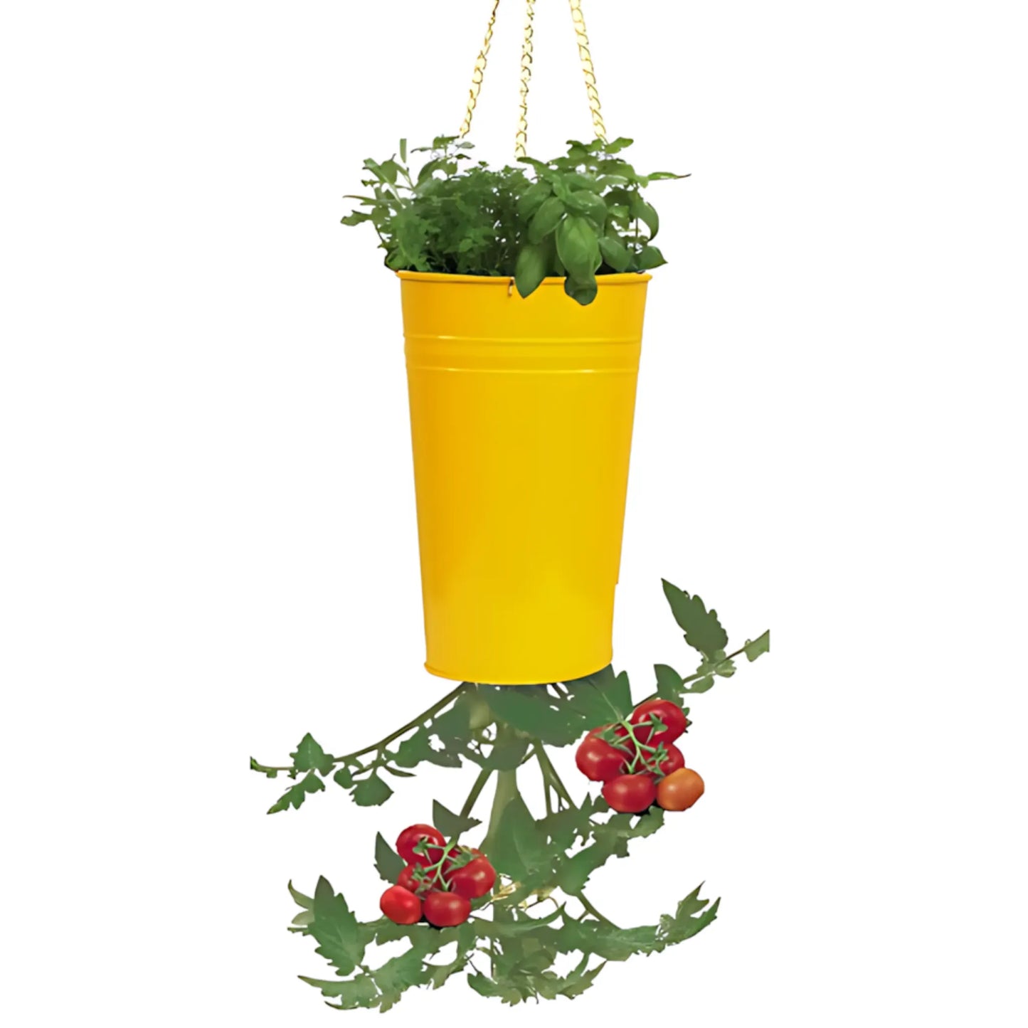 Tomato & Pepper Hanging Planter Home & Garden