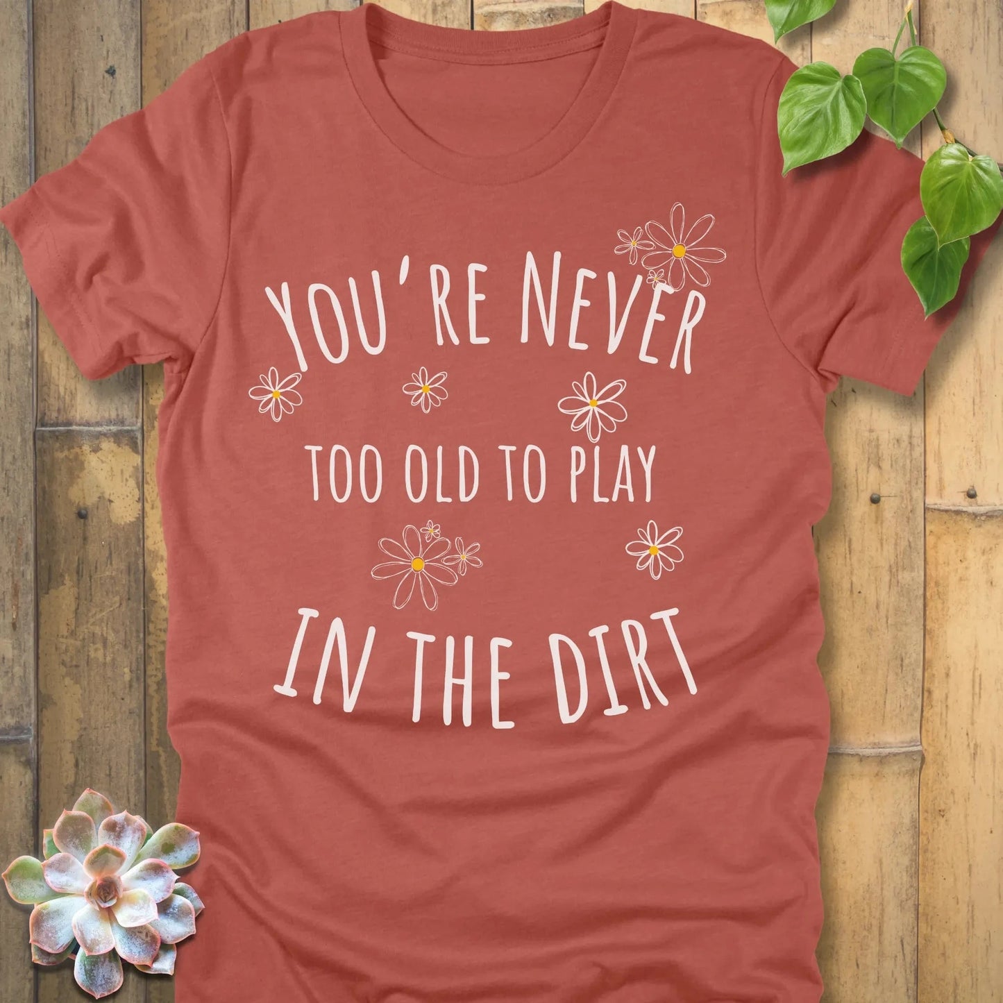 Heather Clay / S Too Old T-Shirt T-Shirt