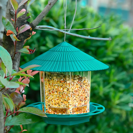 Green Transparent Hanging Bird Feeder Hanging Bird Feeder